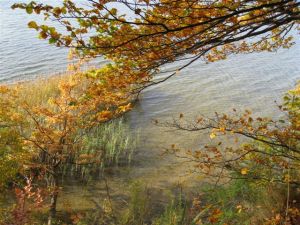 Herbst Plauer See.JPG